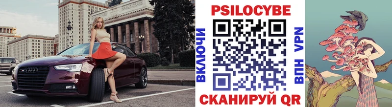 Галлюциногенные грибы Psilocybine cubensis  Казань 